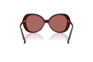 Rear view Swarovski SK6059 (109869)