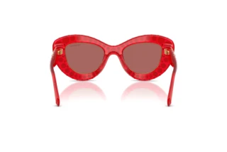 Rear view Swarovski SK6060 (110369)