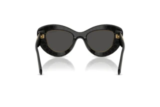 Rear view Swarovski SK6060 (110487)