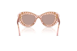 Rear view Swarovski SK6060 (30017N)