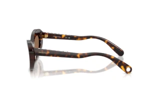 Side view Swarovski SK6061U (100273)