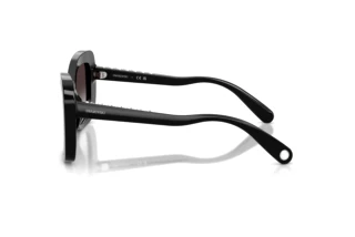 Side view Swarovski SK6062U (10018G)