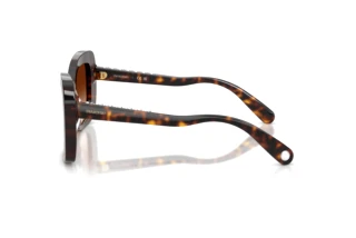 Side view Swarovski SK6062U (100274)