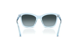 Rear view Swarovski SK6063 (1078V1)