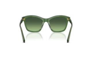 Rear view Swarovski SK6063 (10852A)