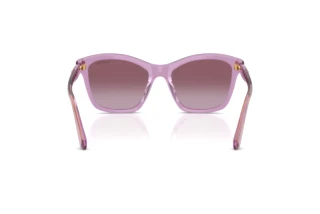 Rear view Swarovski SK6063 (10968H)