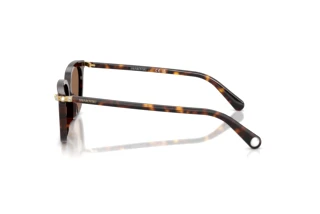 Side view Swarovski SK6064D (100273)