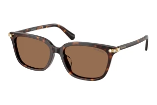 Front view Swarovski SK6064D (100273)