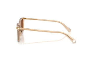 Side view Swarovski SK6064D (1034OK)