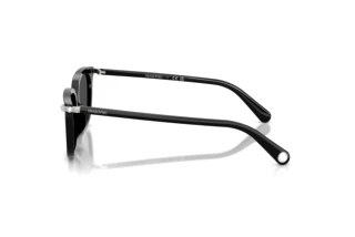 Side view Swarovski SK6064D (103887)
