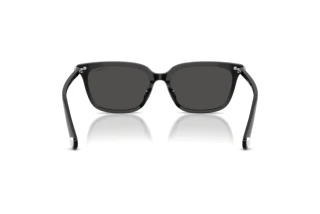 Rear view Swarovski SK6064D (103887)
