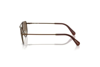 Side view Swarovski SK7007 (401673)