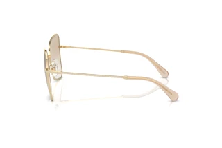 Side view Swarovski SK7008 (401311)