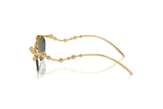 Side view Swarovski SK7016 (40047P)