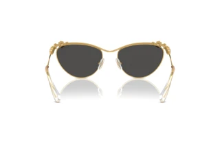 Rear view Swarovski SK7017 (400487)