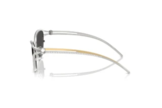 Side view Swarovski SK7025 (400187)