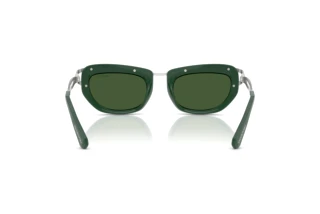 Rear view Swarovski SK7026 (403671)