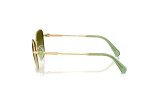 Side view Swarovski SK7029 (4004E8)