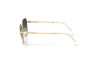 Side view Swarovski SK7029 (4004T3)
