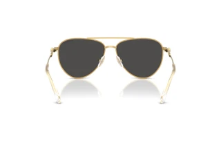 Rear view Swarovski SK7031 (400487)