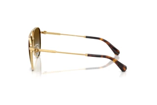 Side view Swarovski SK7031 (4037T5)