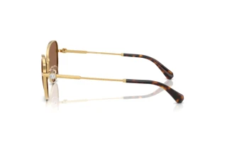 Side view Swarovski SK7032 (400473)