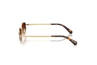 Side view Swarovski SK7035D (401374)