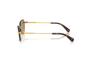 Side view Swarovski SK7038 (40077J)