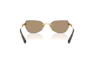 Rear view Swarovski SK7038 (40077J)
