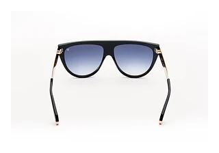 Rear view Sylvie Optics Impress (4)