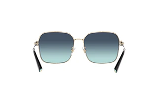 Rear view Tiffany TF3093D (60219S)