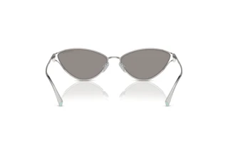 Rear view Tiffany TF3095 (61956G)