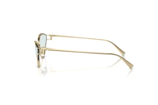Side view Tiffany TF3095 (6196MF)