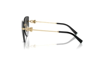Side view Tiffany TF3096 (60213C)