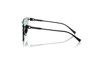 Side view Tiffany TF3097TD (62069C)