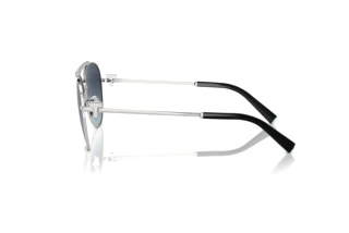 Side view Tiffany TF3101B (60014U)