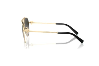 Side view Tiffany TF3101B (60213C)
