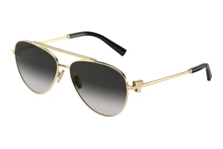 Front view Tiffany TF3101B (60213C)