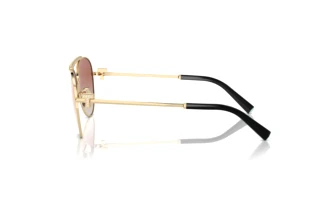 Side view Tiffany TF3101B (62093N)