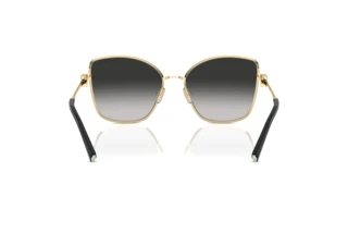 Rear view Tiffany TF3102B (60213C)