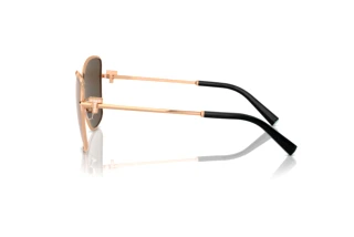 Side view Tiffany TF3102B (61750W)