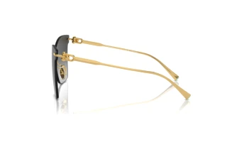 Side view Tiffany TF3103K (62113C)
