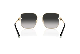 Rear view Tiffany TF3105D (6021S4)