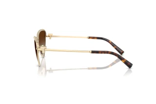 Side view Tiffany TF3107KB (62123B)