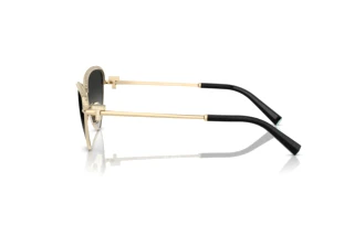 Side view Tiffany TF3107KB (62203C)
