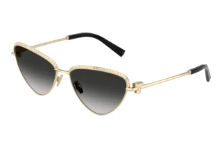 Front view Tiffany TF3107KB (62203C)