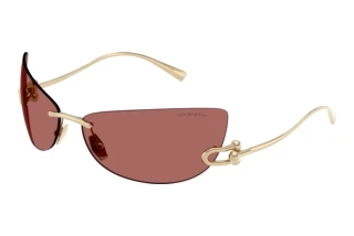 Front view Tiffany TF3112K (622569)