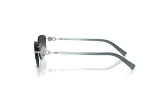 Side view Tiffany TF3114 (60012G)