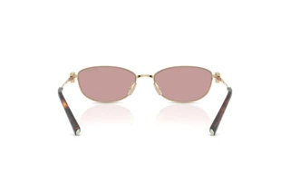 Rear view Tiffany TF3115 (6189VS)