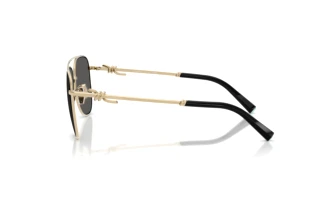 Side view Tiffany TF3116 (6021S4)